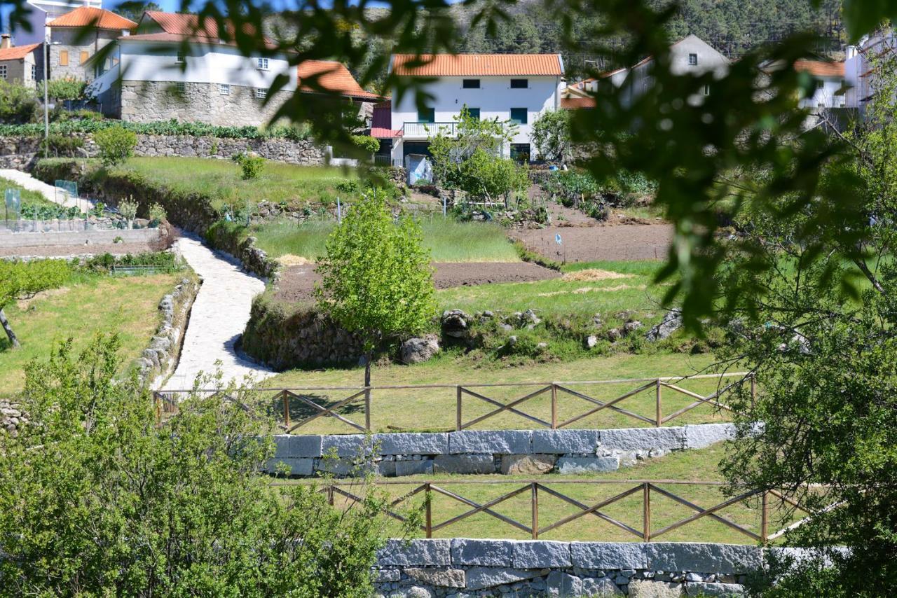 Casa Dos Alcaides Villa Sabugueiro  Exteriör bild